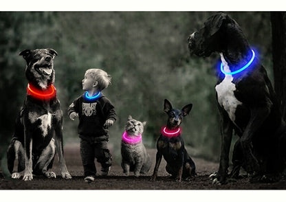 USB充電式の光る首輪 子犬 中型犬 お散歩にぴったり 発光 LED首輪