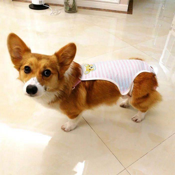 <a href="https://www.qoo10.jp/gmkt.inc/Search/brand.aspx?brandno=124379" target="_blank" class="title_brand" id="btn_brand" title="マナーウェア">マナーウェア</a>新商品プロモーション，数量限定 犬 マナーウェア マナーベルト 服 マナーバンド オムツカバー ドッグウェア 犬の服 しつけ マーキング防止 トイレ 介護犬 マナーウェア