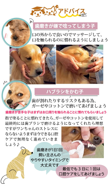 獣医推薦愛犬愛猫の歯垢歯石歯周病が塗るダケでツルツルな歯に！安心安全な100％天然由来！歯磨ジェル　ピュアツルデンタル60m