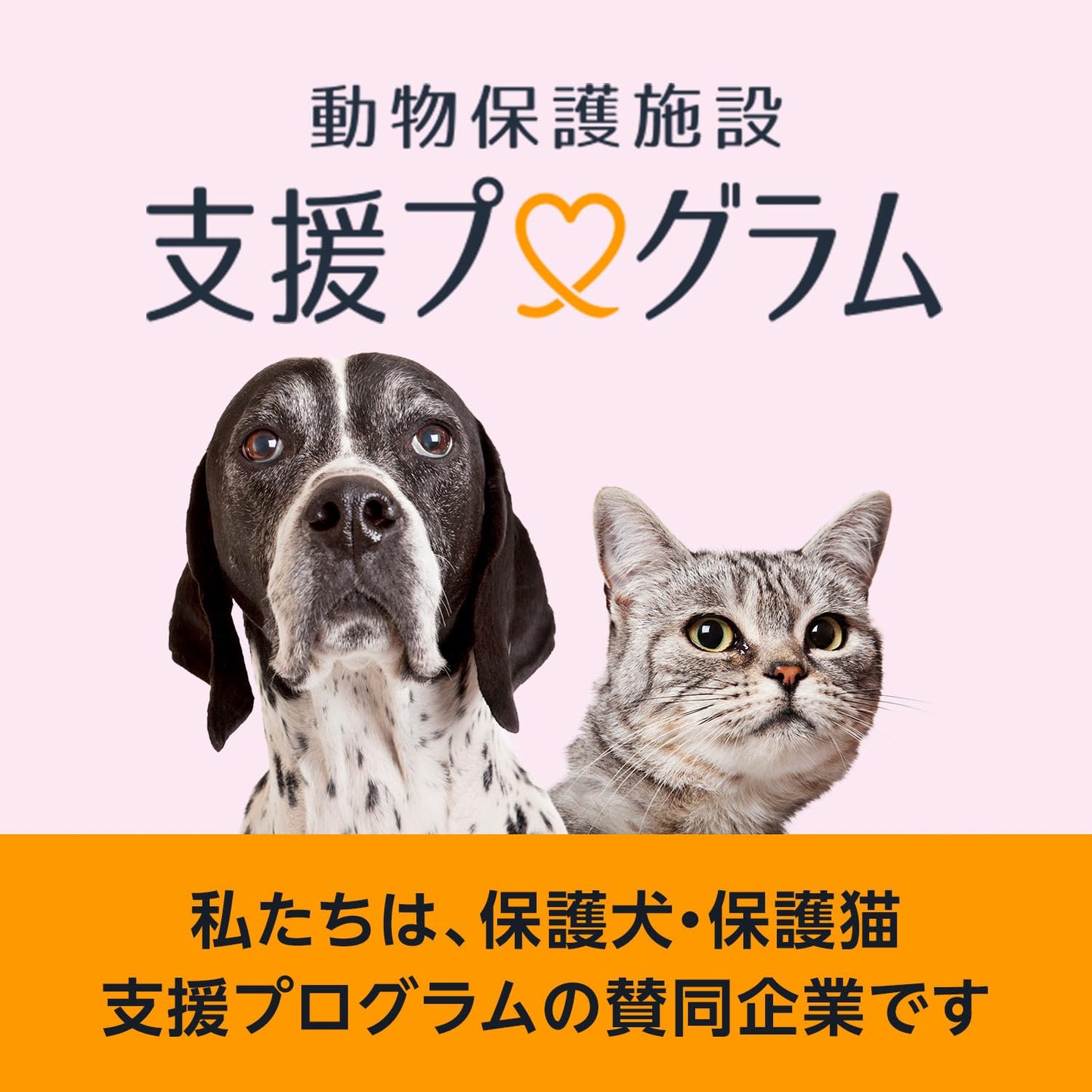 ニャンとも清潔トイレ [3つの脱臭成分で強力脱臭] 脱臭・抗菌シート 複数ねこ用 8枚 [猫用システムトイレシート] システムトイレ 猫用 トイレシート 消臭