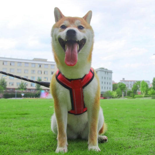 負担の少ない アウトドア 大型犬 ワンタッチタイプS 犬 おしゃれ カラフル 着脱しやすい 小型犬 XL M 胴輪 L ネコポス かわいい 中型犬 ハーネス