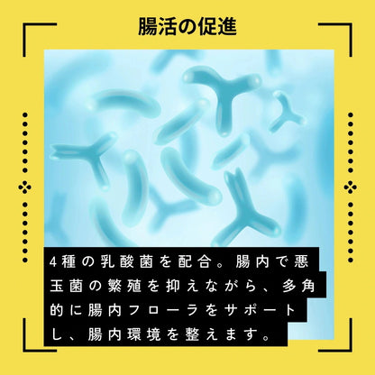 わんちゃん食堂 馬肉 犬用 完全 無添加 ごはん ドックフード 1キロ×3袋 成犬 シニア ダイエット フード 日本製 ヒューマングレード アレルギー 全犬種 全年齢 パッケージ変更あり