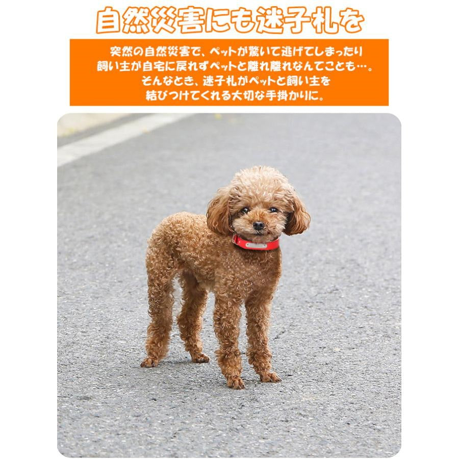 ペット用品 迷子札 ドックタグ 首輪 ネーム入り迷子札チョーカー 高級な質感 お散歩 お出かけ 安心 ネームタグ 名入れ ネーム入れ 刻印 名札