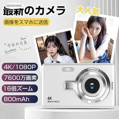 SALE処分 在庫限り 猫 トイレ システム スライド式 大型 おしゃれ メガトレー カバー 猫