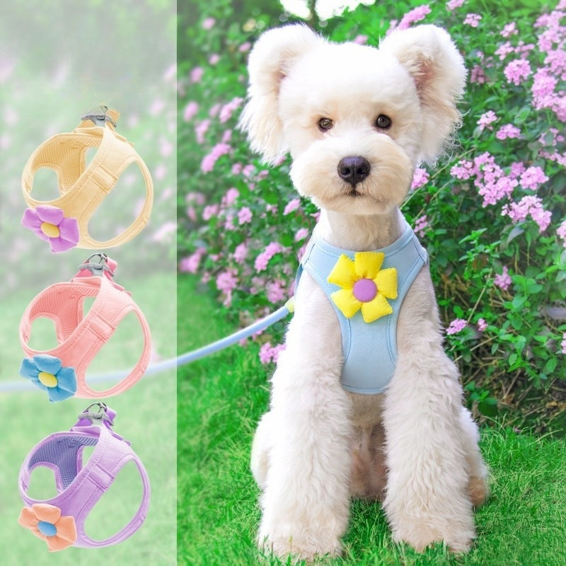 小型犬 犬 リード 75 猫用 中型犬 ペットハーネス ペット用品 シンプル 胴輪 お出かけ 犬用 2点セット ハーネス ネコ用ハーネス お散歩 簡単装着 犬用ハーネス 軽量 おしゃれ ハーネスリード