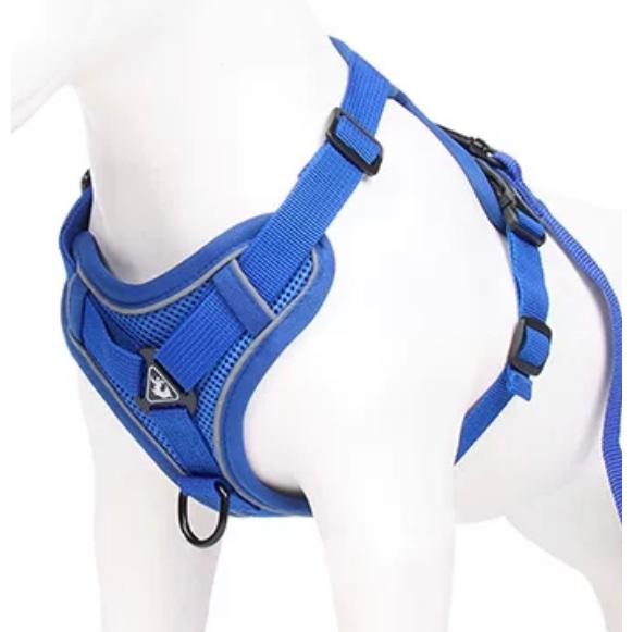 新商品プロモーション，数量限定 犬 犬ハーネス ハーネス リード付き 犬用 猫用 ペット しゃれ 脱げない かわいい 小型 中型 大型 メッシュ 胴輪 散歩 簡単装着 軽量 春 夏 秋 冬 かわいい