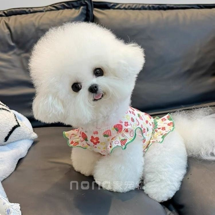 [犬 服]犬 洋服 ins人気商品 ペット猫外出サンウェア犬服春夏新作スカート