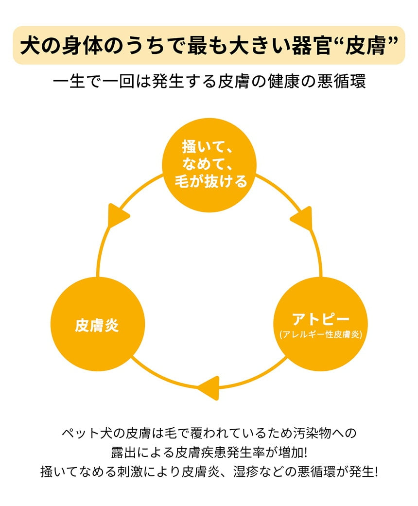 <a href="https://www.qoo10.jp/gmkt.inc/Search/brand.aspx?brandno=120824" target="_blank" class="title_brand" id="btn_brand" title="ドクターバイ">ドクターバイ</a>[公式] スキン＆コート 犬 皮膚 サプリメント 毛 保湿 皮膚炎 痒み止め 指間炎 日本特許成分「AF-343」 30本 (240g)
