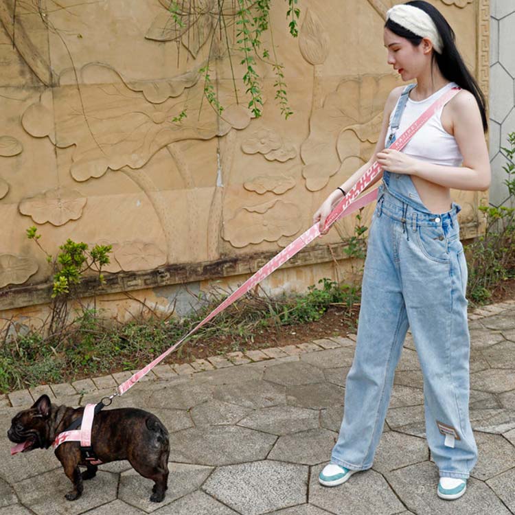 犬 リード ショルダーリード ペット ペット用 多機能 リード 肩掛けショルダーリード 胴輪 ハーネス 迷子防止 脱走防止 大型犬 中型犬 小型犬 安全 散歩 お出かけ 6ways 犬用 9色 S-X