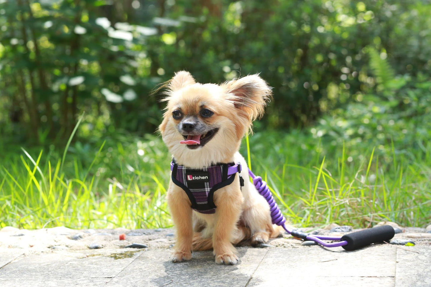 簡単装着 小型犬 胴輪 130 ペットハーネス 犬用ハーネス ハーネスリードセット おしゃれ リード 中型犬 お出かけ 犬用 猫用 シンプル 犬 ペット用品 軽量 リーシュ ネコ用ハーネス ハーネス