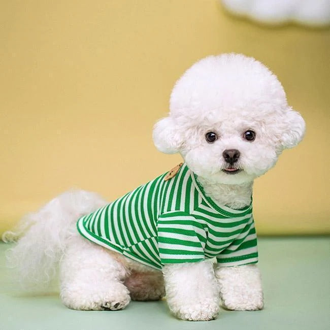 ペット服 Tシャツ 犬用 半袖 クマ ストライプ柄 配色 軽量 通気性 柔らかい 可愛い 新品 大人気 着せやすい 抜け毛対策 汚れ防止 冷え対策 春夏