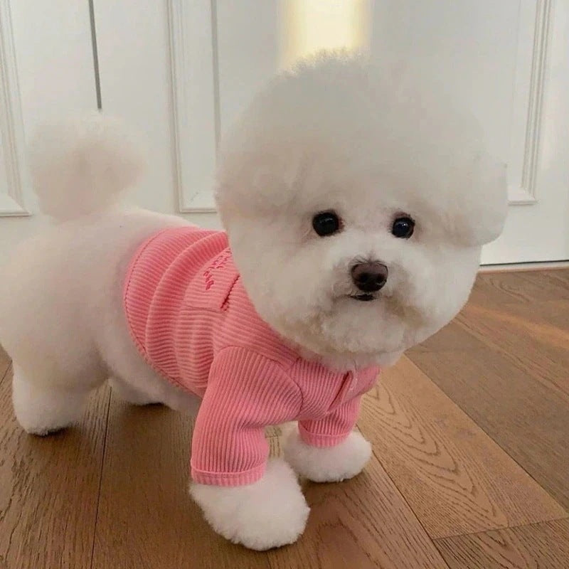 メガ割 3日で出荷新作 の犬服 テディボーミペットのコキシナレビーベア 暖かい可愛らしい 暖かい野球服 アウター