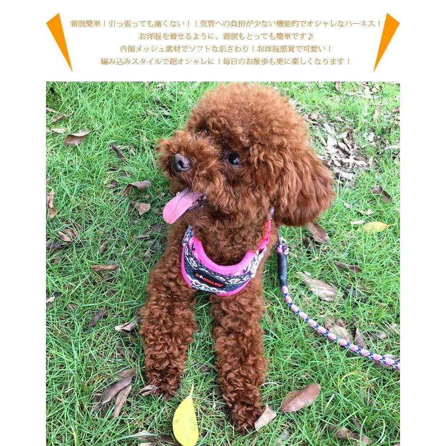新商品プロモーション，数量限定 犬 猫 ハーネス リード付 ペット 服 ボヘミア ピンク 胴輪 キャット ドッグ メッシュ犬 猫