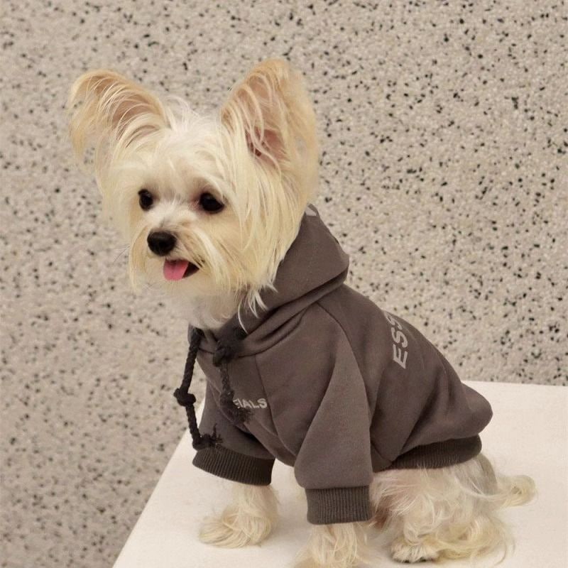 新作入荷 犬 服 犬服 秋 冬 ペット服 犬 洋服 犬服 2024 秋新作 小型犬 スウェット 冬モデル