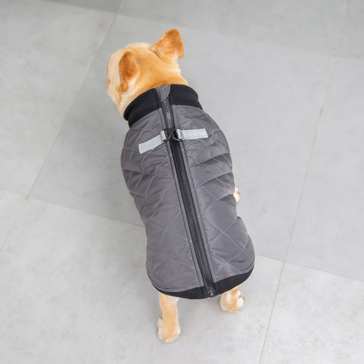 猫 犬 洋服 犬服 ペット服 大中小型犬 ペット用品 犬/猫用 犬の服 ペットウエア 小型犬 中型犬 通気 可愛い ドッグウェア トレーナー 犬 服 ワンピース サロペット ビションフリーゼ 犬猫服