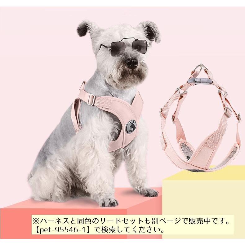 お出かけ ハーネス パステルカラー 小型犬 お散歩グッズ 単品 猫 かわいい ペット用 胴輪 おしゃれ バックル 中型犬 ドッグ 犬 キャット 動物
