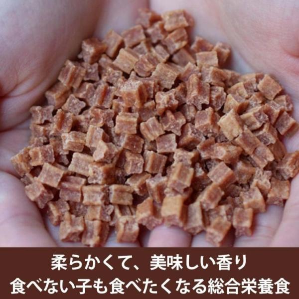 DOG s VOICE ドッグヴォイス ダイエタリー 55 プレミアムドッグフード 400g セミモイスト ローストチキン＆サーモン&食物繊維