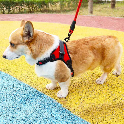 キャンペーン価格抜けない 抜けにくい 犬 ウェアハーネス 中型犬 大型犬 小型犬 外出 3点セット 避難 ハーネスリードセット 負担の少ない ステップハーネス 調整可能 首輪 犬用 脱出防止 通院 ハ