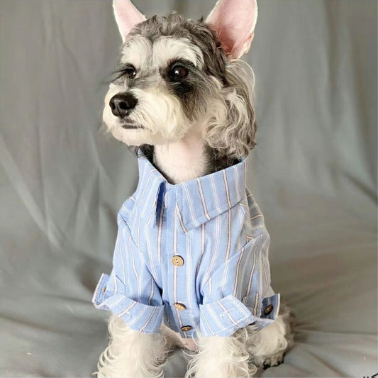 キャンペーン犬服 猫服 春夏 シャツ トイプードル ビション ポメラニアン ペット服 日系 雑誌風 メンズライク 猫用ウェア 防虫 UVカット 涼しい ワンコ服 小型犬 中型犬犬服 猫服