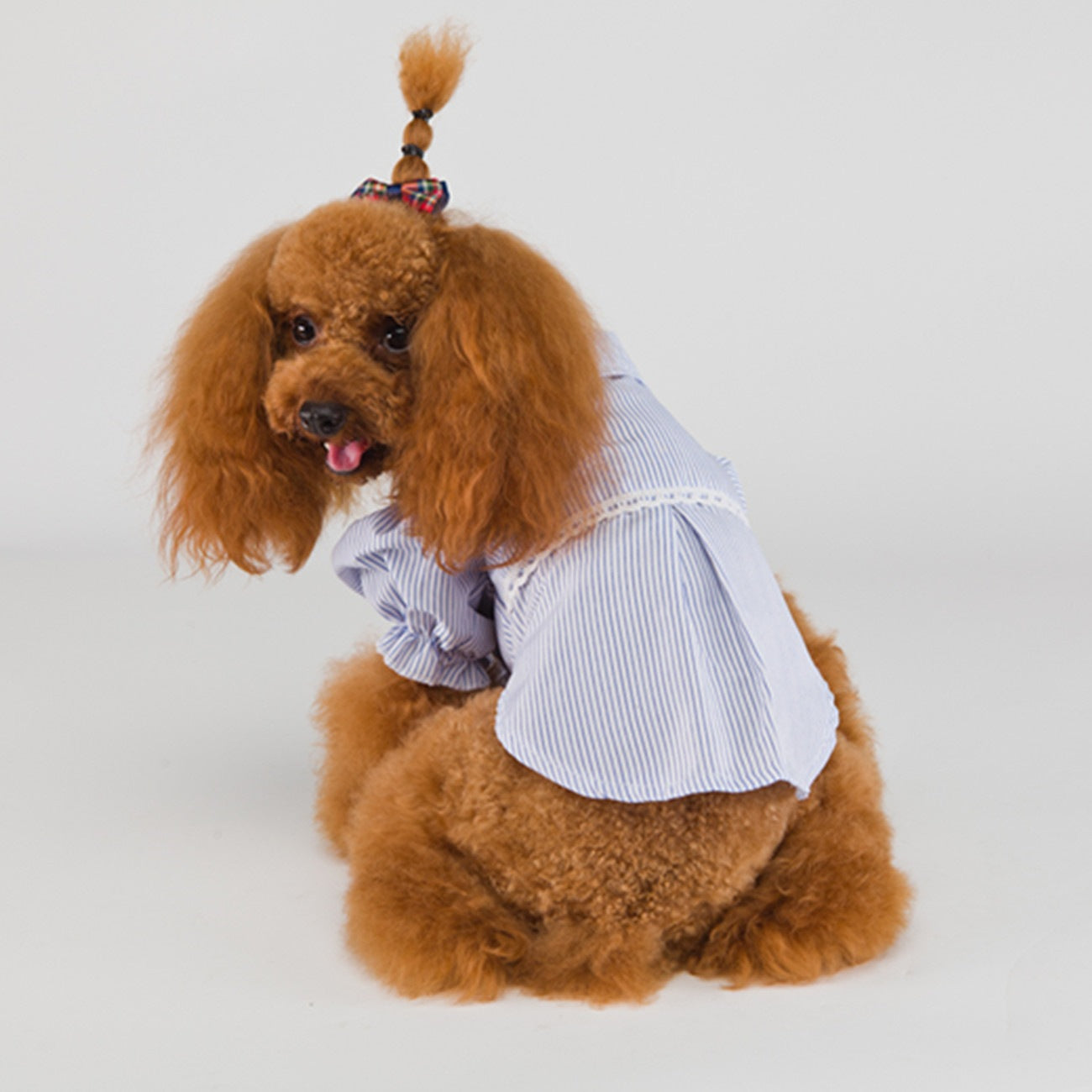 猫 犬 洋服 犬服 ペット服 大中小型犬 ペット用品 犬/猫用 犬の服 ペットウエア 小型犬 中型犬 通気 可愛い ドッグウェア トレーナー 犬 服 ワンピース サロペット ビションフリーゼ 犬猫服