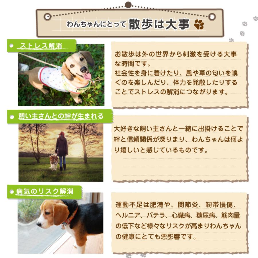 中型 猫 首輪 小型 ペット 大型 LED 充電式 光る 犬 ライト カラー