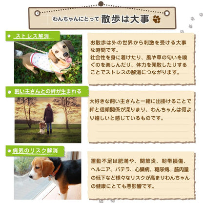中型 猫 首輪 小型 ペット 大型 LED 充電式 光る 犬 ライト カラー