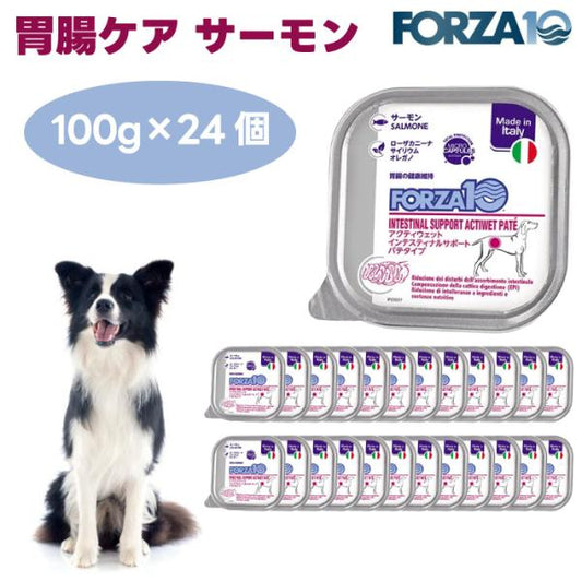 Forza10 アクティウェット インテスティナルサポート 胃腸ケア サーモン パテタイプ 100gx24個 ドッグフード 犬 餌 療養食 フォルツァ10