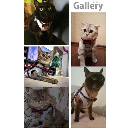 新商品プロモーション，数量限定 猫 犬 ハーネス リード ペット 服 ウェアハーネス 胴輪 キャット ドッグ リーシュ リボン猫 犬