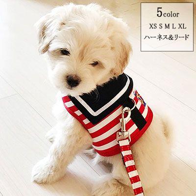 新商品プロモーション，数量限定 ペット用 犬用 ハーネスとリード２点セット 型ハーネス（胴輪）＆リード ストレスを軽減　軽量　メッシュ 通気性あり　マジックテープとペット用 犬用