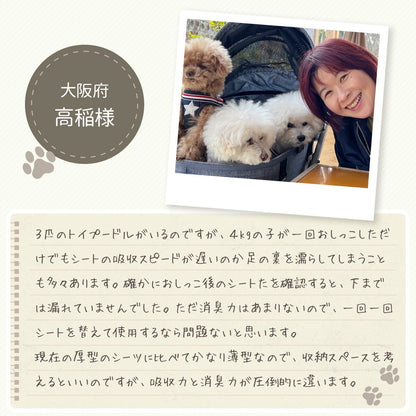 <a href="https://www.qoo10.jp/gmkt.inc/Search/brand.aspx?brandno=126282" target="_blank" class="title_brand" id="btn_brand" title="Laundly">Laundly</a>最短翌日到着 ペットシーツ 小分け 薄型 ペットシート ワイド 100枚 レギュラー 200枚 スーパーワイド50枚 小分け容量 トイレシーツ 超薄型タイプ 1回使い捨て 犬 猫 トイレ シー