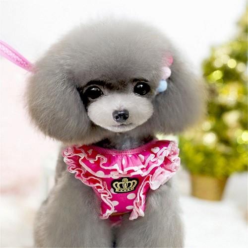 犬 ハーネス 犬ハーネスリードセット 犬のハーネスリードセット 犬用ハーネス おしゃれ 犬 服 犬服 ドレス ワンピース 小型犬 中型犬 脱げない 犬の服 胴輪
