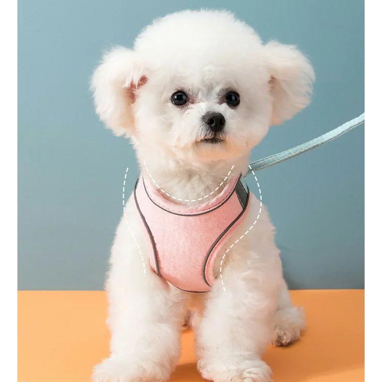 新商品プロモーション，数量限定 犬 猫 ハーネス リード付 カラフル ツートン ウェアハーネス ペット 服 胴輪 キャット ドッグ犬 猫