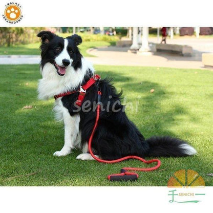 犬 リード ハーネス 紐 散歩紐 犬用ハーネス＆リード けん引ロープ ペット用品