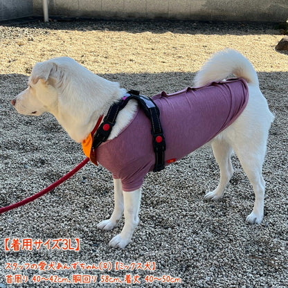 <a href="https://www.qoo10.jp/gmkt.inc/Search/brand.aspx?brandno=125763" target="_blank" class="title_brand" id="btn_brand" title="Coo Couture">Coo Couture</a>SWDテラヘルツワンベルクロTシャツペット介護 犬用ペットウェア 中型犬 大型犬 犬服 テラヘルツワン クークチュール 2メ-3運 12137 【T】