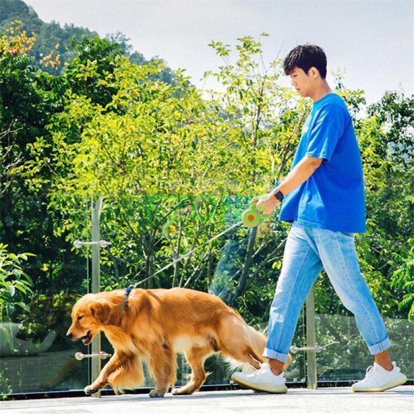 大型犬 キャンプ サイクリング 巻き取り式ドッグリード 荷重30kg 伸縮リード 小型犬 旅行 長さ3M 中型犬 ドライブ 自動巻き 犬用リード