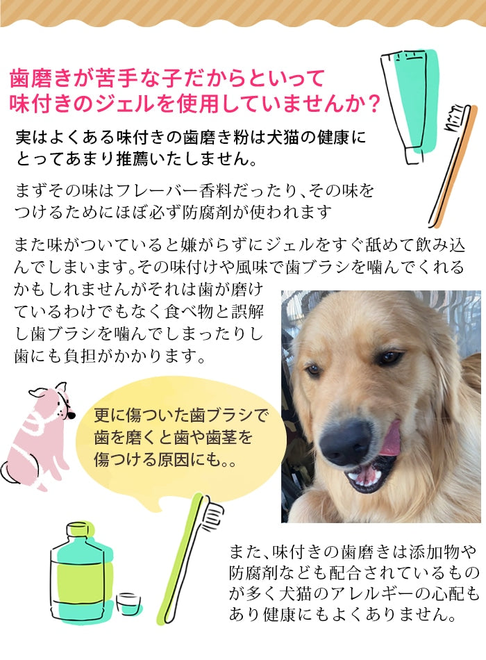獣医推薦愛犬愛猫の歯垢歯石歯周病が塗るダケでツルツルな歯に！安心安全な100％天然由来！歯磨ジェル　ピュアツルデンタル60m