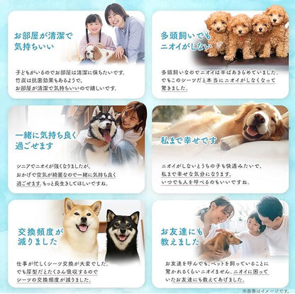 モフット ペットの消臭名人 超消臭 超吸収 ペットシーツ 厚型 犬用 猫用 トイレシート 吸水シート 使い捨て(竹炭ブラック, ワイド（45x60cm）50枚入/詰め替え/1袋)