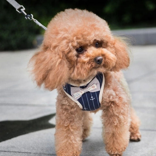 大人気犬用トラクションロープ ベスト 小型犬用犬用ベストスタイルチェストハーネス子犬子犬テディペット