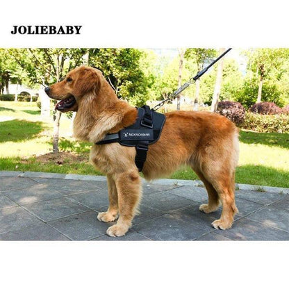 犬用ハーネスリード 牽引ロープ リードセット 犬 猫 ペット牽引縄 ドッグリード 小型犬 中型犬 大型犬 引っ張り防止 ペット用品 ハーネス 胸あて式 お散歩グッズ