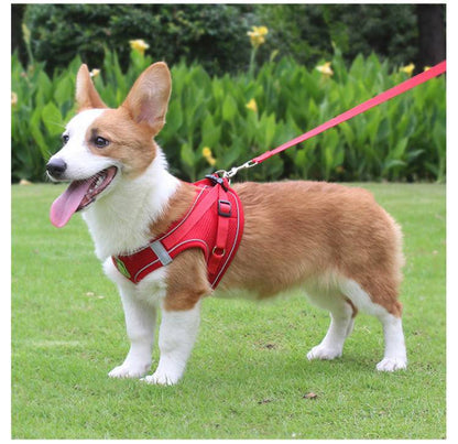 胴輪 犬用 抜けない 犬具 しっかりロック 小型犬 簡単装着 散 犬 中型犬 ドッグ イヌ メッシュ いぬ M 負担が少な 抜けにくい 犬ハーネスリードセット かわいい おしゃれ お出かけ