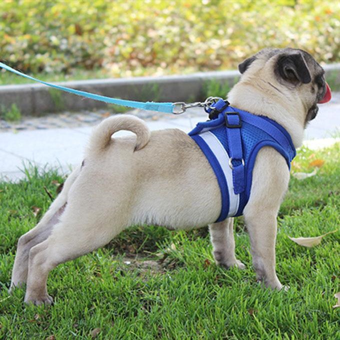 ペットグッズ 犬用品 首輪胴輪 リード ハーネスリード 犬 猫 ハーネス 新品 大人気 小型犬 中型犬 猫用 ネコ ウェアハーネス 犬ハーネス 抜けない