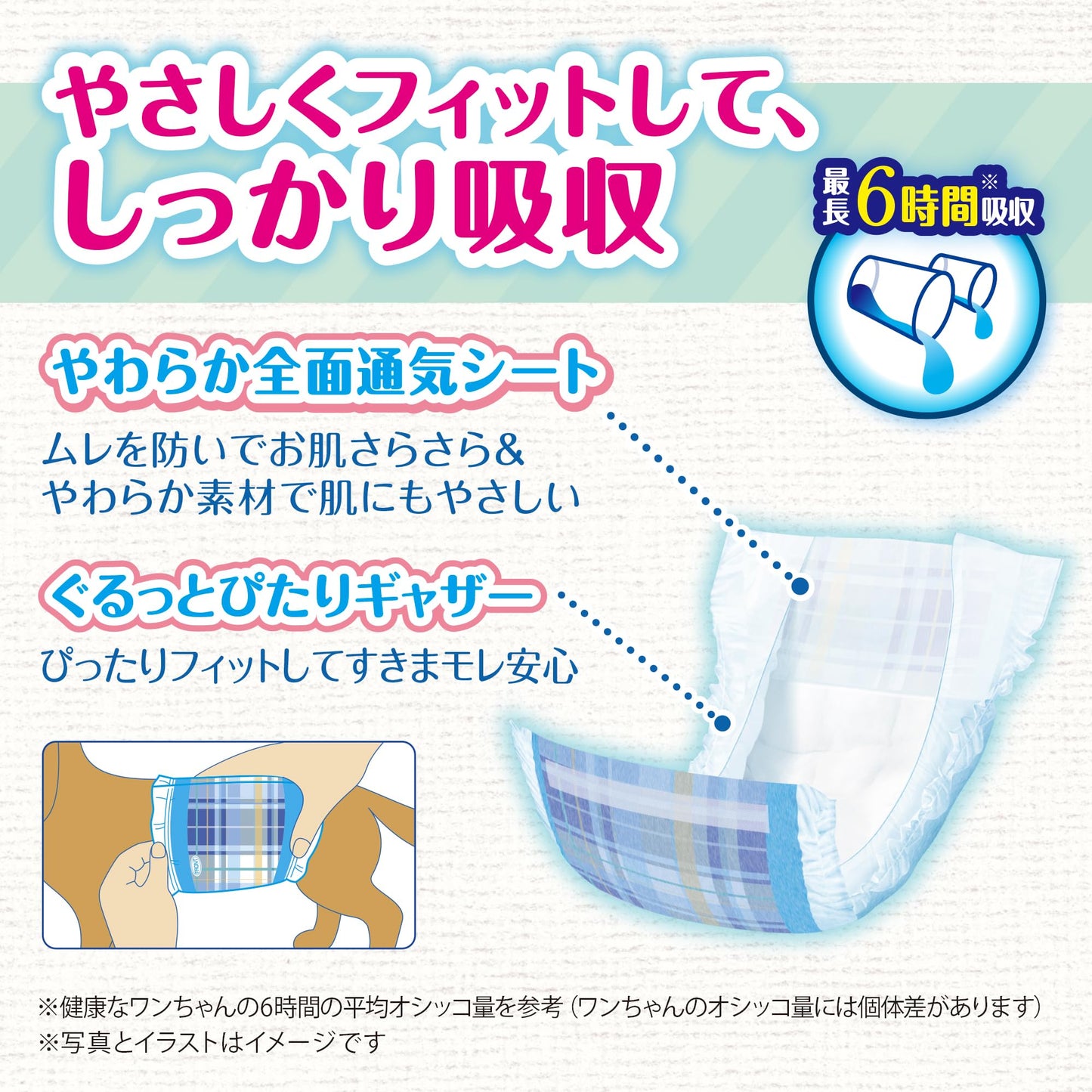 <a href="https://www.qoo10.jp/gmkt.inc/Search/brand.aspx?brandno=124379" target="_blank" class="title_brand" id="btn_brand" title="マナーウェア">マナーウェア</a>マナーウェア 男の子用 SSSSサイズ 青チェック・紺チェック 52枚入×2個セット 犬 SSSS