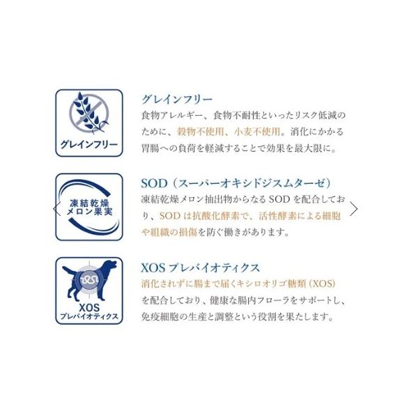 VetSolution ベッツソリューション 犬用 心臓サポート 3.0kg ドッグフード 犬 餌 療養食 心筋 タウリン カルニチン