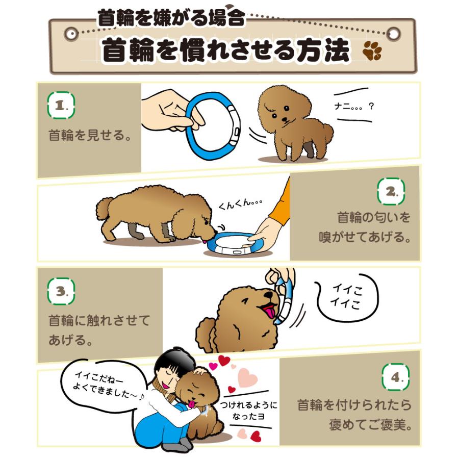中型 猫 首輪 小型 ペット 大型 LED 充電式 光る 犬 ライト カラー