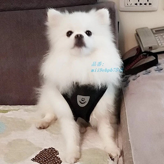 反射フレンチブルドッグパグ犬 ベストハーネスリードセット通気性ペットハーネス小中犬子犬猫ウォーキング