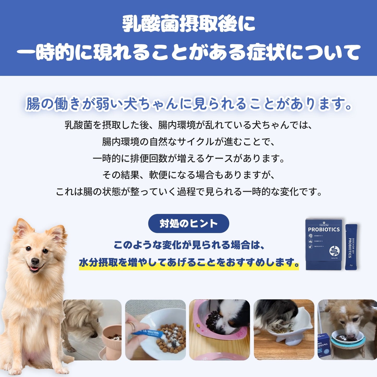 <a href="https://www.qoo10.jp/gmkt.inc/Search/brand.aspx?brandno=120824" target="_blank" class="title_brand" id="btn_brand" title="ドクターバイ">ドクターバイ</a>[公式]犬プロバイオティクス犬乳酸菌サプリメント下痢止め便秘解消整腸剤下痢 30本(60g)