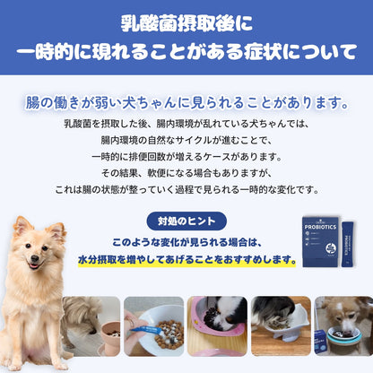 <a href="https://www.qoo10.jp/gmkt.inc/Search/brand.aspx?brandno=120824" target="_blank" class="title_brand" id="btn_brand" title="ドクターバイ">ドクターバイ</a>[公式]犬プロバイオティクス犬乳酸菌サプリメント下痢止め便秘解消整腸剤下痢 30本(60g)