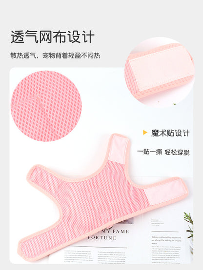 ペットハーネス ネコ用ハーネス 軽量 ハーネスリードセット 106 お出かけ お散歩 犬 ペット用品 胴輪 2点セット ハーネス 中型犬 犬用ハーネス 猫用 簡単装着 犬用 リーシュ 小型犬 シンプル