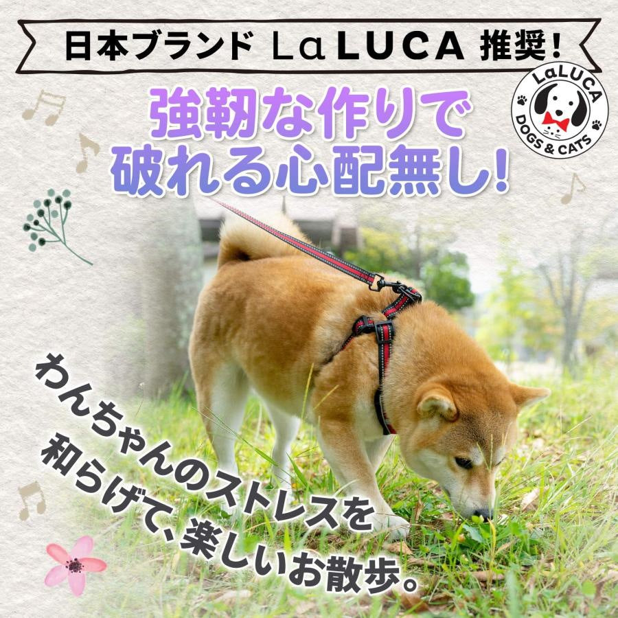 犬 ハーネス リード 抜けにくい 小型犬 中型犬 大型犬 ハーネスリードセット スタンダード 抜けない 犬用 首輪 胴輪 散歩