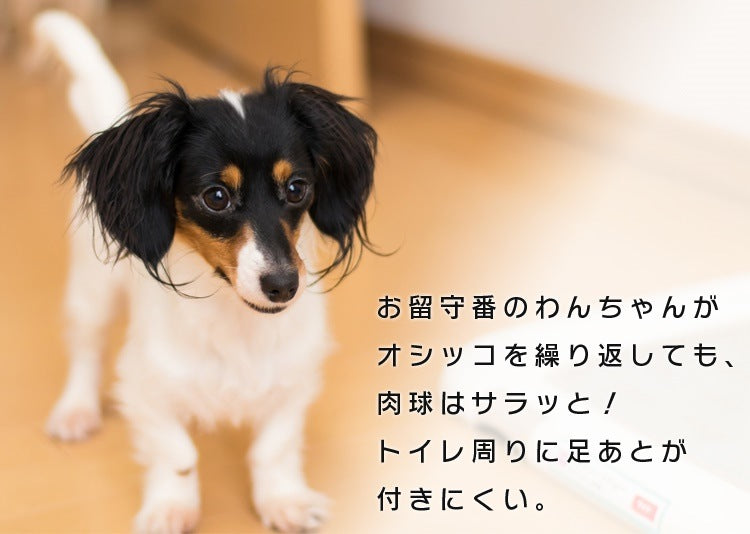 わんちゃんに合わせて選べる2サイズぺットシーツ ワイド レギュラー 厚型 / 超厚型 ペットシーツ メガ割